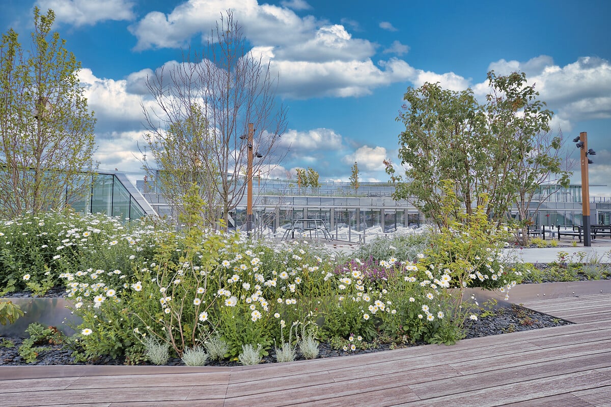 Vue des jardins sur la terrasse du siège social