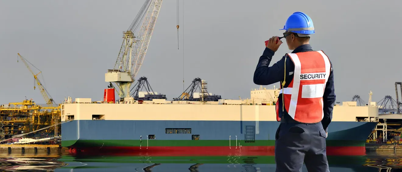 Agent de sécurité avec casque de sécurité, veste haute visibilité et talkie-walkie regardant un cargo dans un port