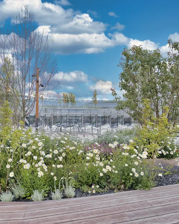Vue des jardins sur la terrasse du siège social