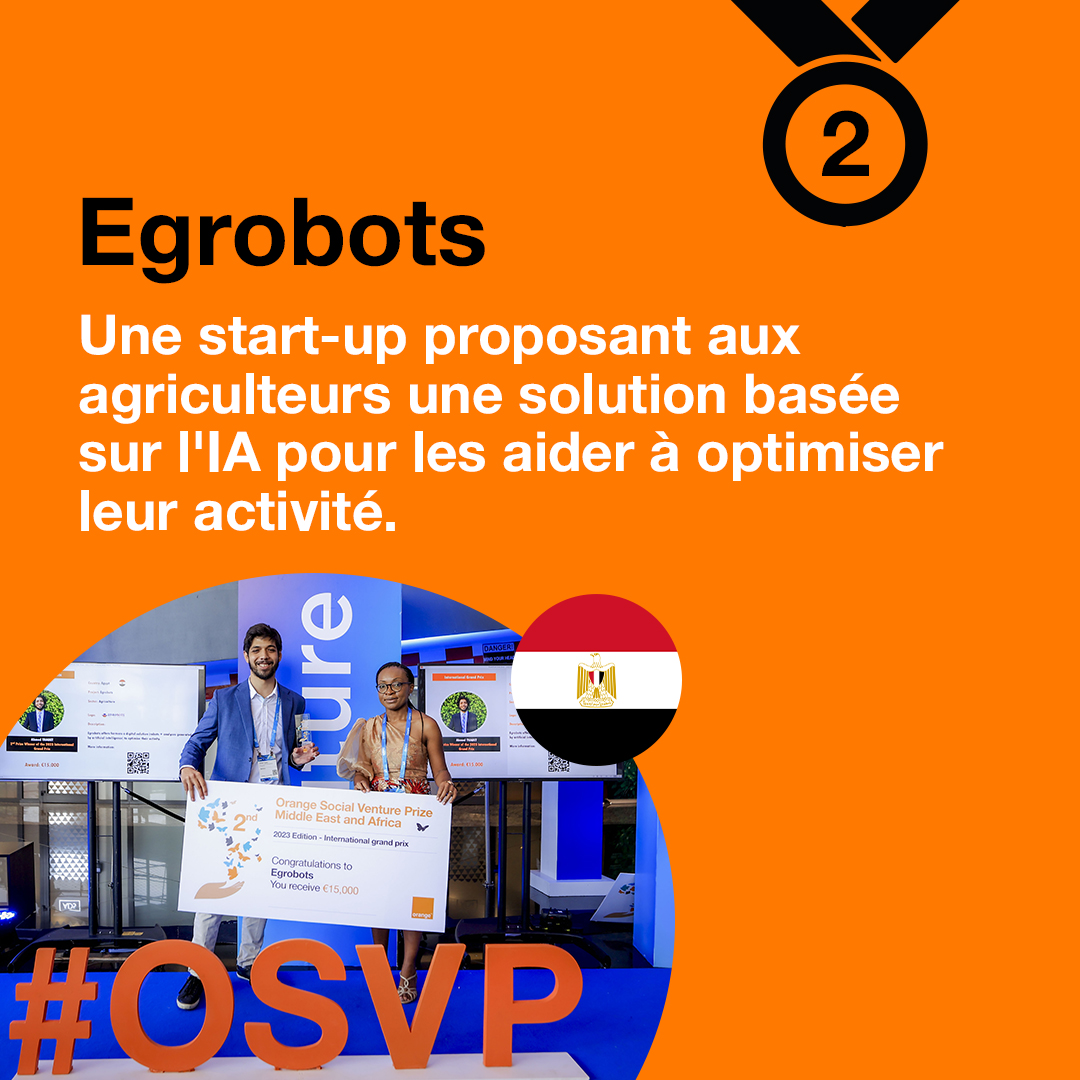 Photo du deuxième prix Poesam Egrobots