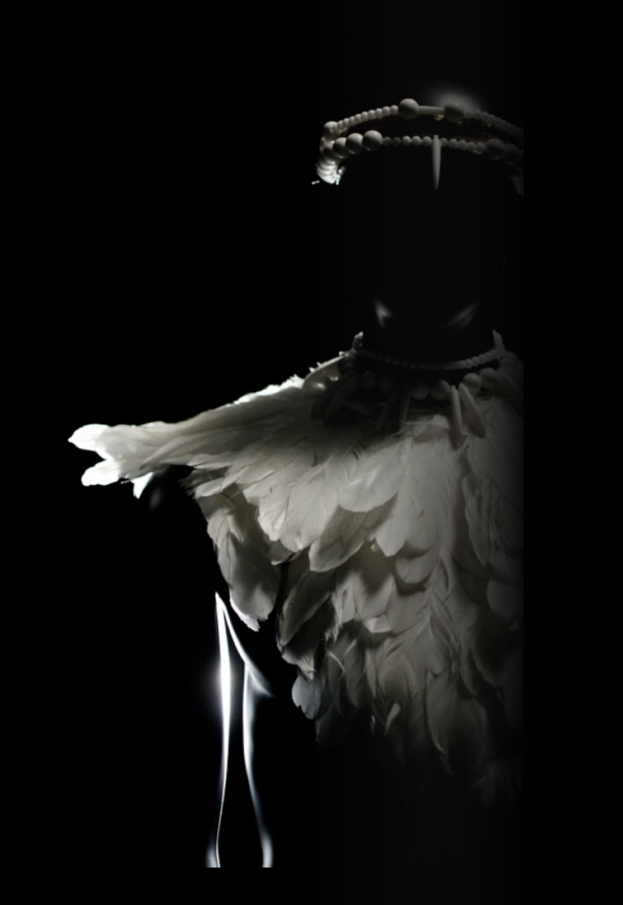 Illustratie silhouet
