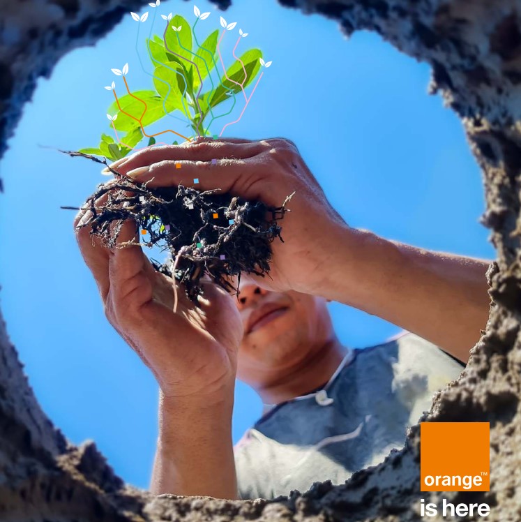 low angle view on 2 hands holding a small plant and its roots