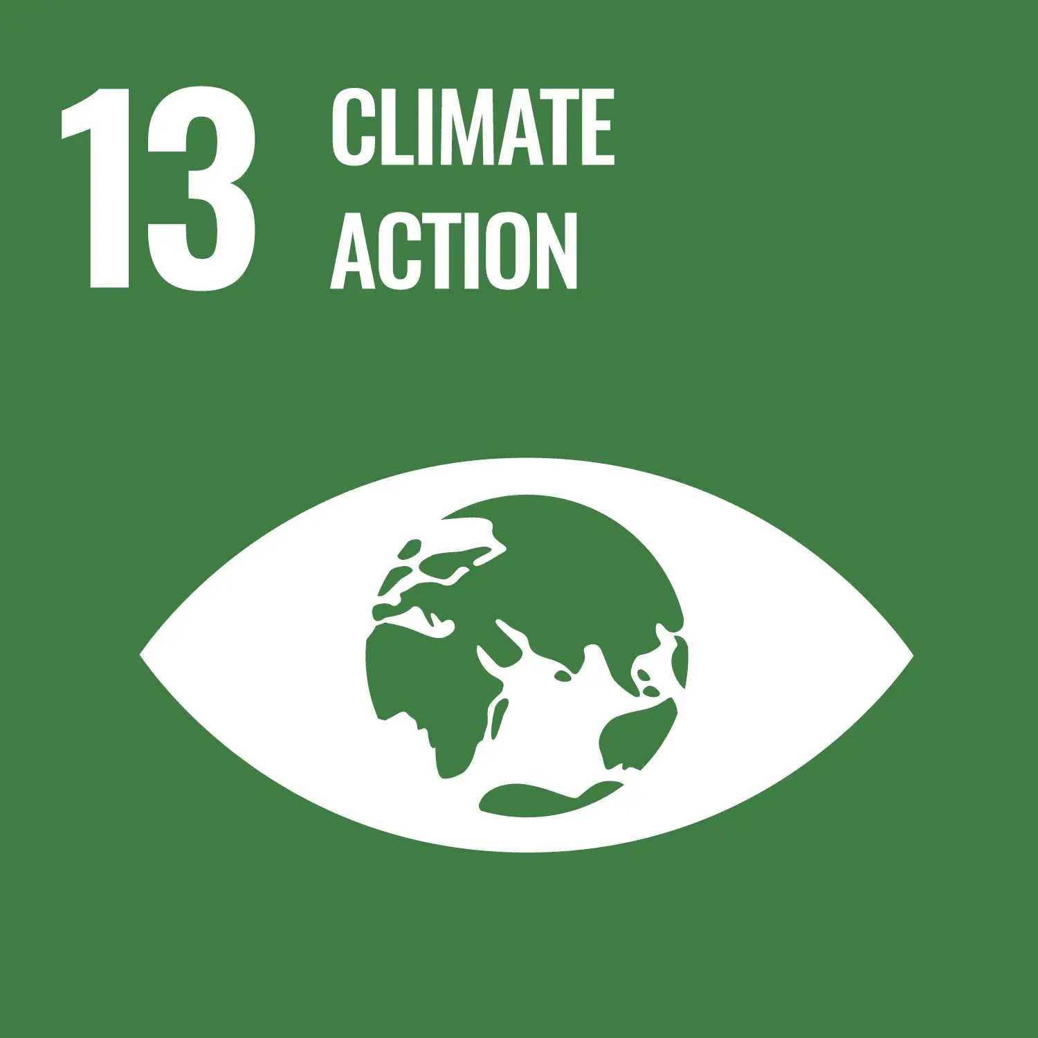 Goal 13 climate action