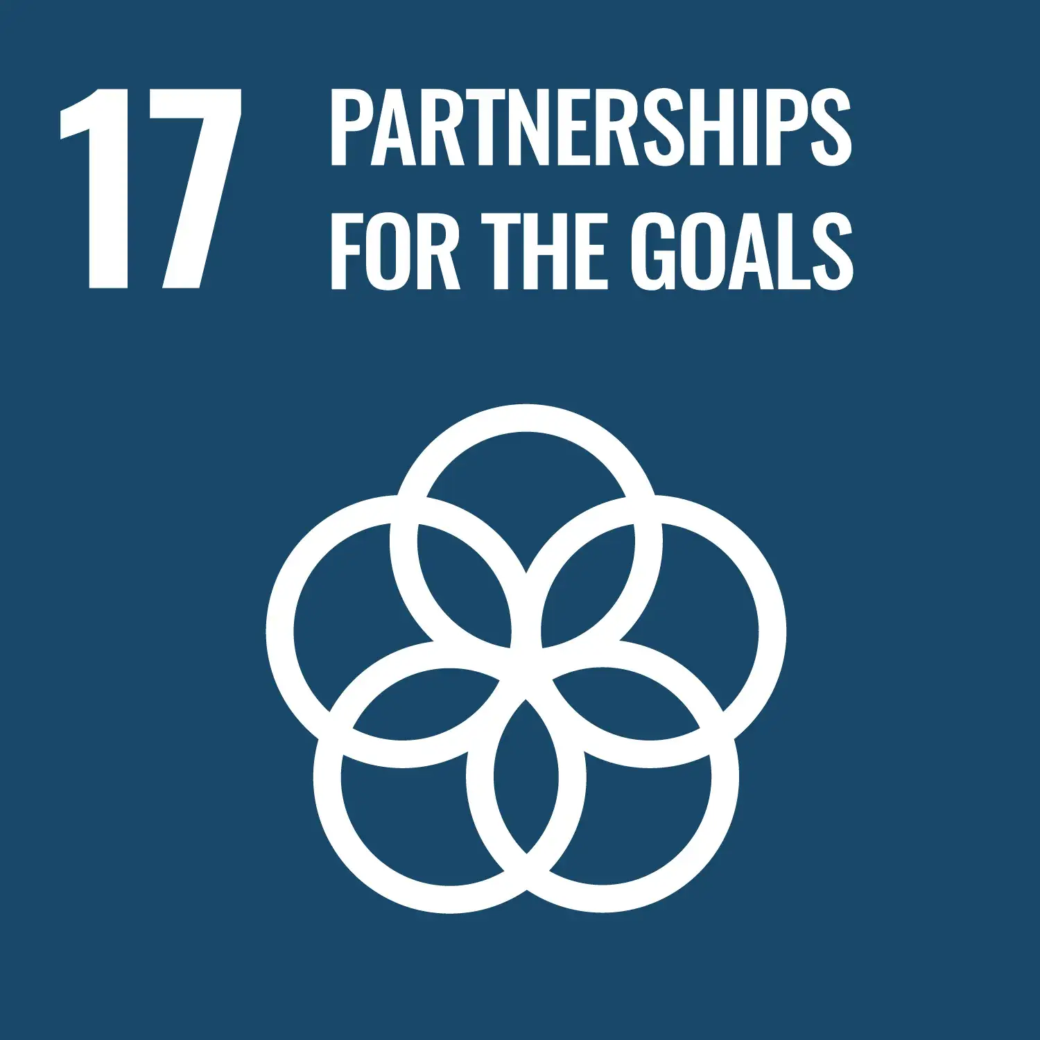 Goal 17 partnerships for the goals