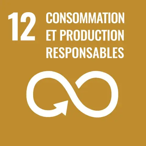 ODD 12 conssomation et production responsables