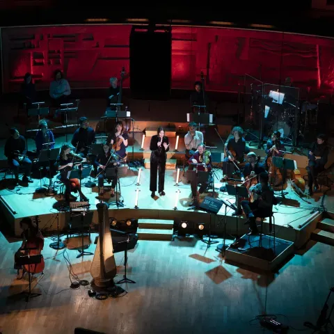 Scène et artistes de La Nuit de la Voix 