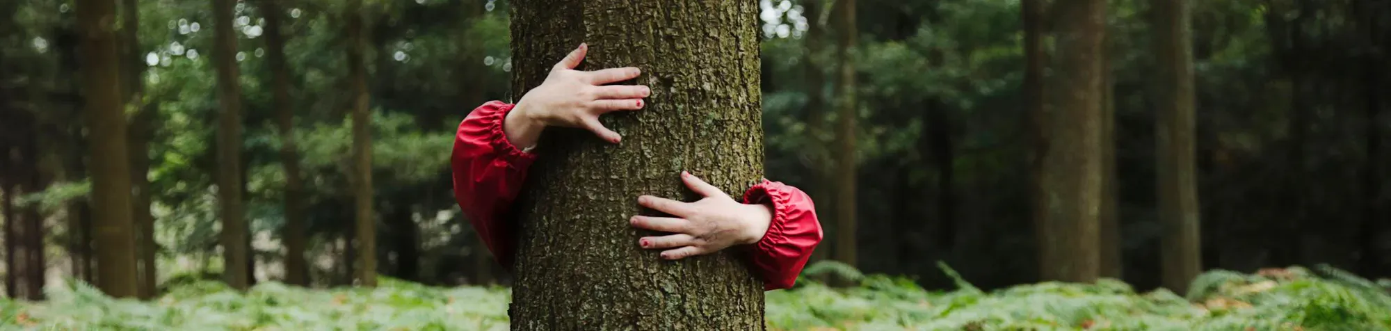 Une jeune femme enlace un tronc d'arbre de ces bras 