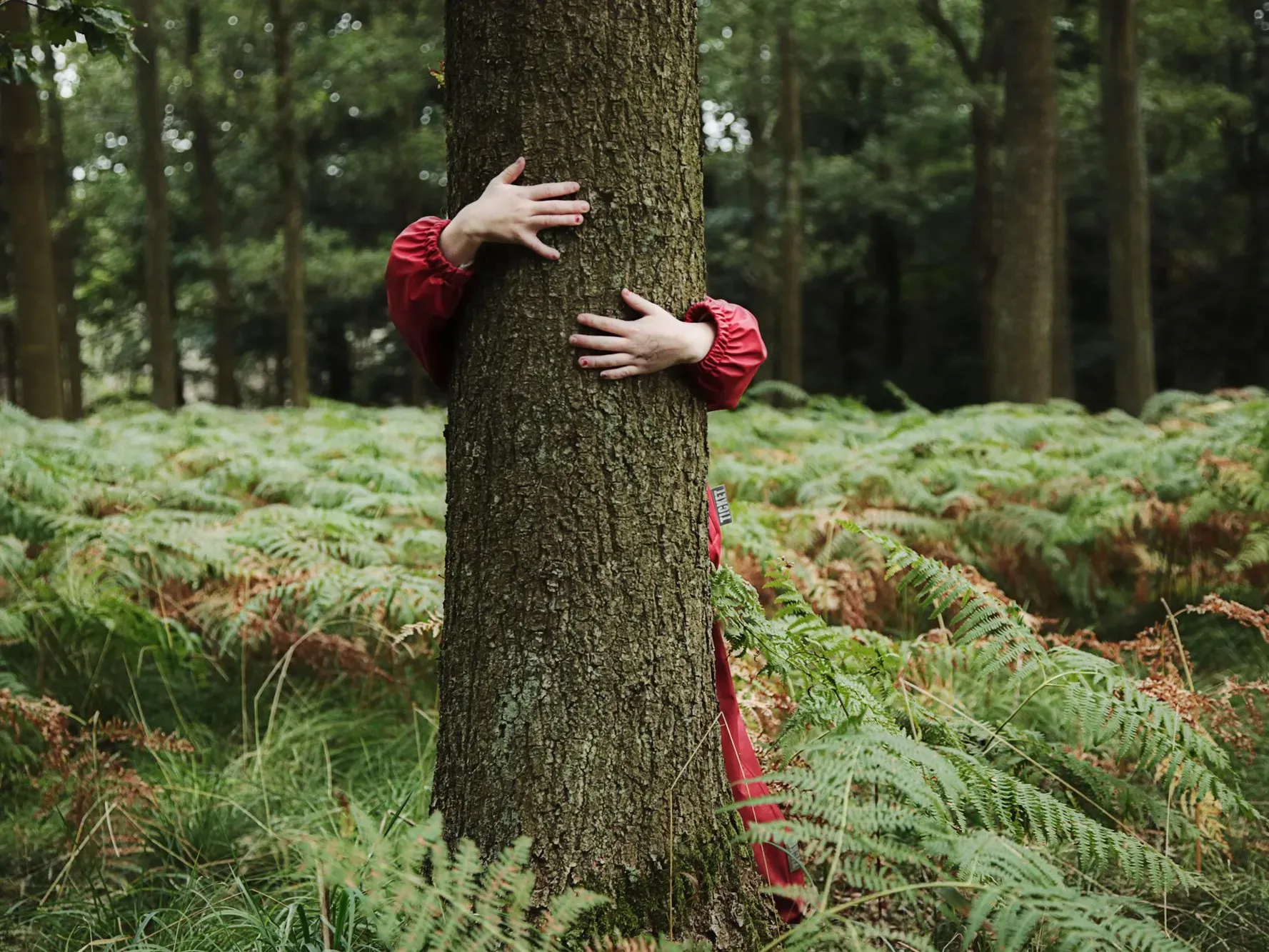A young woman wraps her arms around a tree trunk