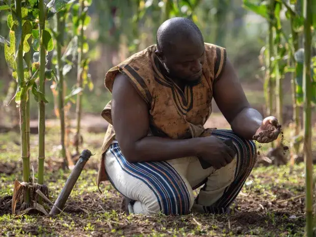 Farmer looking at the soil